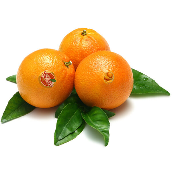 برتقال ابو صرا